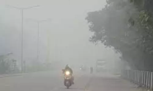 UP Weather:  कोहरा-शीतलहर का डबल अटैक,IMD  अलर्ट