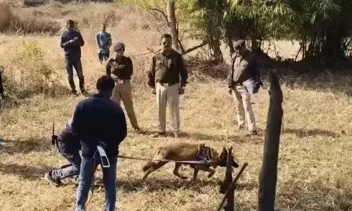 स्निफर डॉग बाघा ने कातिल को चंद मिनट में पकड़ा, कोरबा में हुई थी हत्या की वारदात स्निफर डॉग बाघा ने कातिल को चंद मिनट में पकड़ा, कोरबा में हुई थी हत्या की वारदात