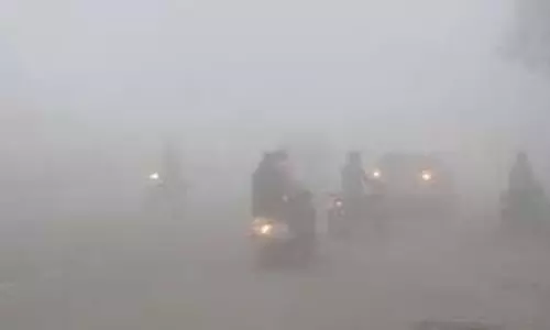 Punjab: कड़ाके की ठंड और घना कोहरा जारी, मौसम विभाग ने दी चेतावनी