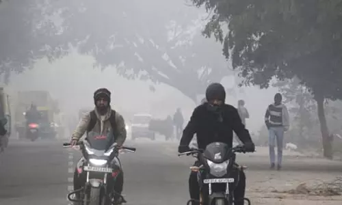 मध्य प्रदेश में ठंड और कोहरे से जनजीवन प्रभावित