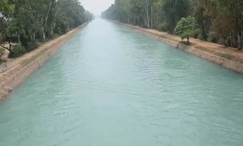 Kurukshetra: एसवाईएल पानी से दक्षिणी हरियाणा की सिंचाई होगी मजबूत