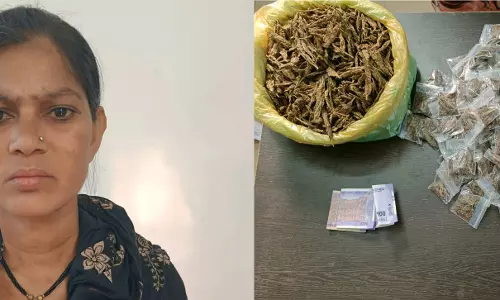 रायपुर में प्राईवेट हॉस्पिटल के पीछे गांजा के साथ महिला गिरफ्तार