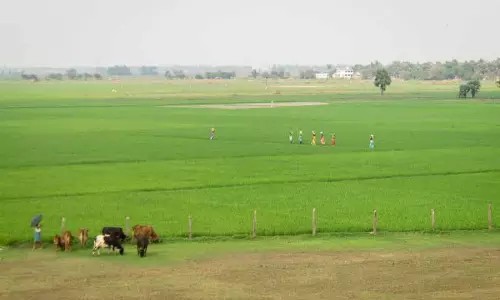 Himachal में सरकारी योजनाओं का लाभ उठाने के लिए किसान आईडी अनिवार्य Himachal में सरकारी योजनाओं का लाभ उठाने के लिए किसान आईडी अनिवार्य