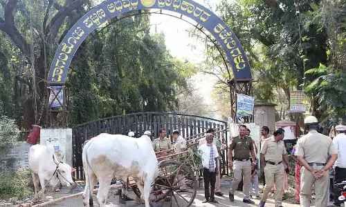गन्ने के खेतों में ड्रेनेज का पानी: किसानों ने BTDA गेट पर ताला लगाया गन्ने के खेतों में ड्रेनेज का पानी: किसानों ने BTDA गेट पर ताला लगाया