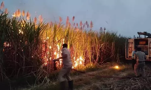 Mudhol : आग में 150 एकड़ गन्ना जलकर खाक हो गया Mudhol : आग में 150 एकड़ गन्ना जलकर खाक हो गया
