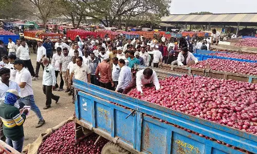 लासलगांव APMC में प्याज के दाम 15 दिनों में ₹1,000 प्रति क्विंटल तक गिरे लासलगांव APMC में प्याज के दाम 15 दिनों में ₹1,000 प्रति क्विंटल तक गिरे