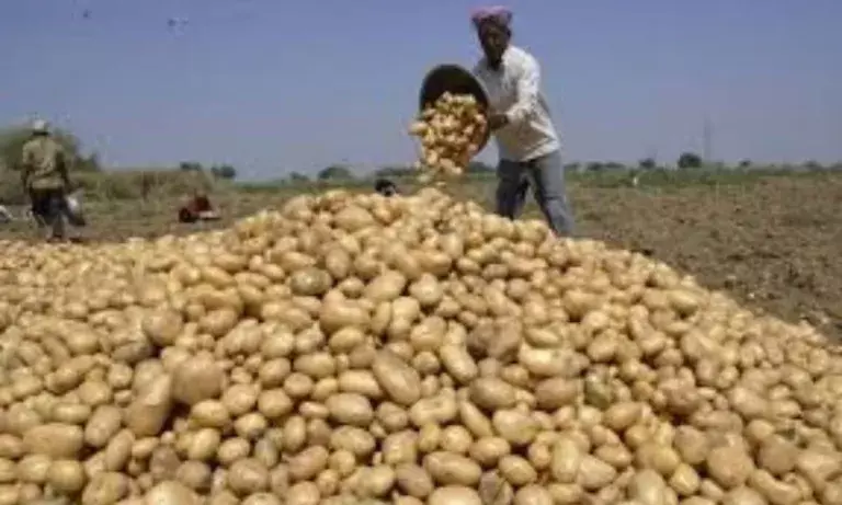 Assam: कम दामों के विरोध में आलू किसानों ने हाईवे जाम किया Assam: कम दामों के विरोध में आलू किसानों ने हाईवे जाम किया