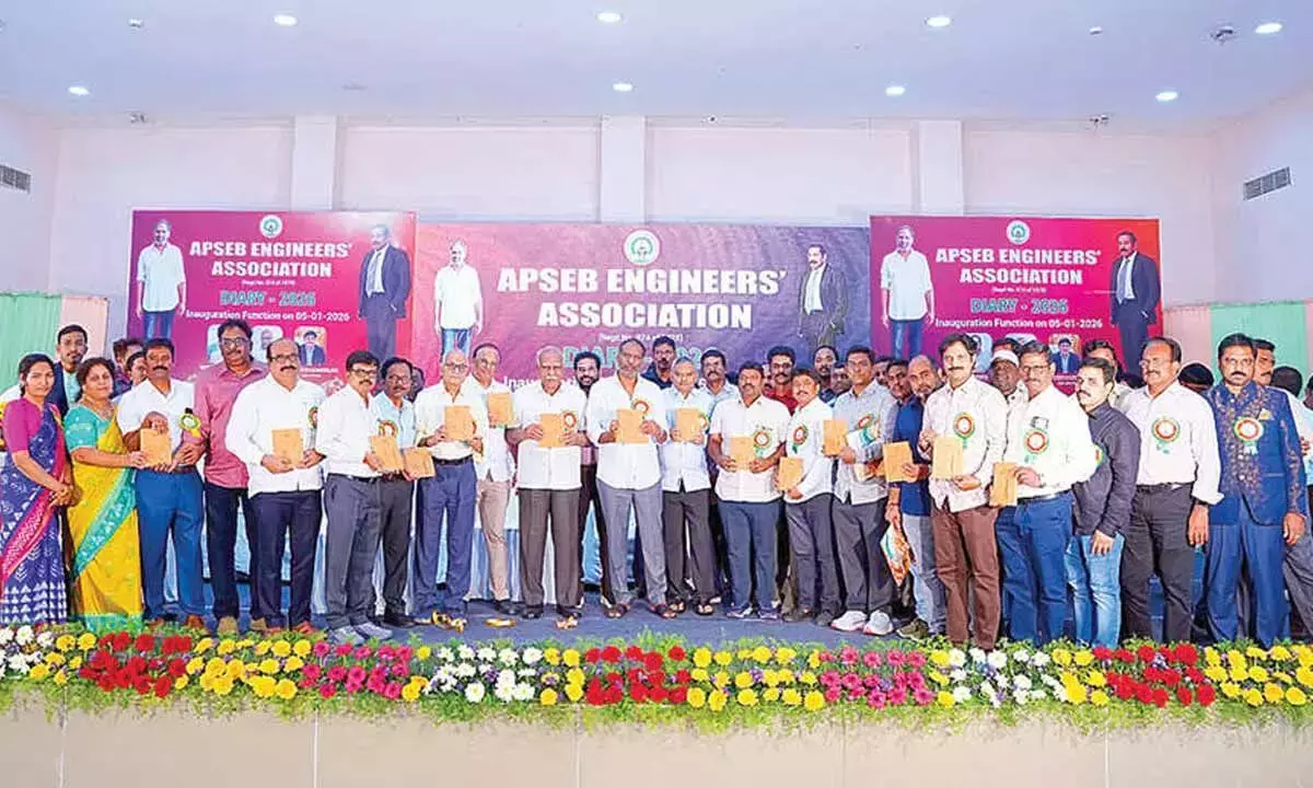 Andhra: बिजली क्षेत्र का निजीकरण नहीं होगा मंत्री