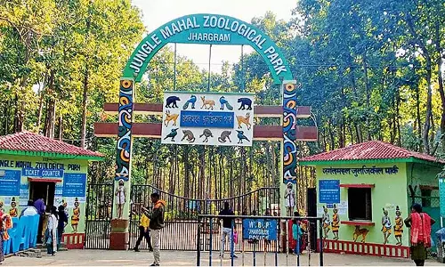 Laxmimanta दिसंबर, एक महीने में इनकम 10 लाख टका