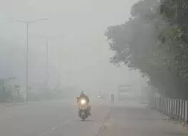 UP Weather: कोहरा-शीतलहर का डबल अटैक,IMD अलर्ट UP Weather: कोहरा-शीतलहर का डबल अटैक,IMD अलर्ट