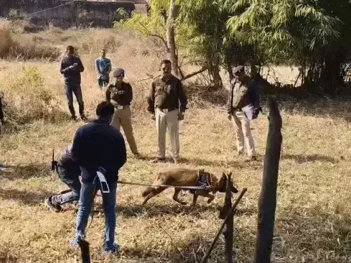 स्निफर डॉग बाघा ने कातिल को चंद मिनट में पकड़ा, कोरबा में हुई थी हत्या की वारदात स्निफर डॉग बाघा ने कातिल को चंद मिनट में पकड़ा, कोरबा में हुई थी हत्या की वारदात