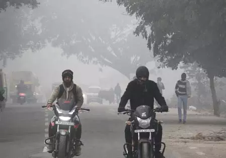 मध्य प्रदेश में ठंड और कोहरे से जनजीवन प्रभावित मध्य प्रदेश में ठंड और कोहरे से जनजीवन प्रभावित