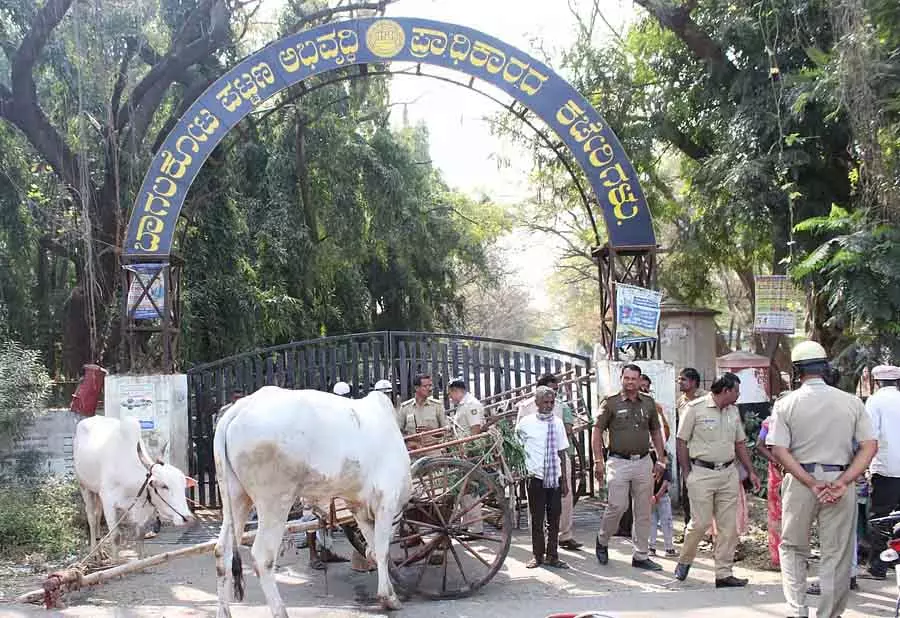 गन्ने के खेतों में ड्रेनेज का पानी: किसानों ने BTDA गेट पर ताला लगाया गन्ने के खेतों में ड्रेनेज का पानी: किसानों ने BTDA गेट पर ताला लगाया