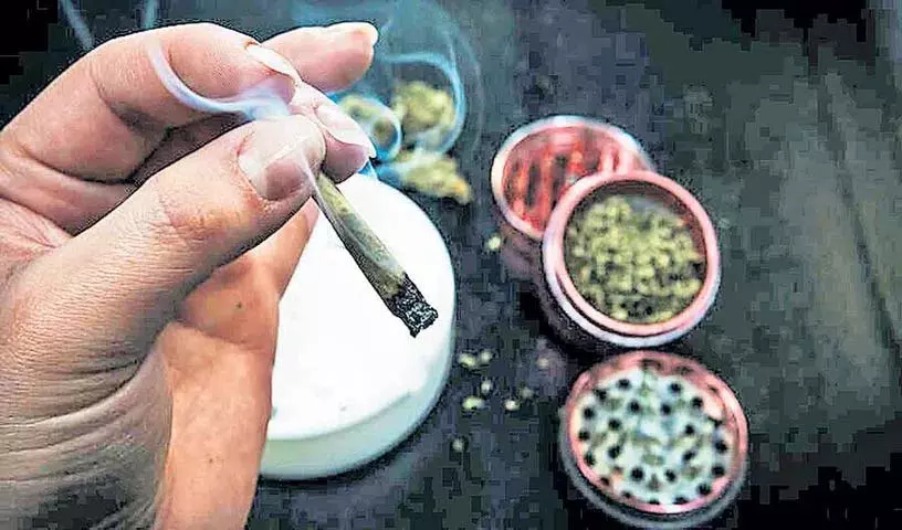 Hyderabad: जीडीमेटला में गांजा तस्करों ने दो महिलाओं पर हमला किया Hyderabad: जीडीमेटला में गांजा तस्करों ने दो महिलाओं पर हमला किया
