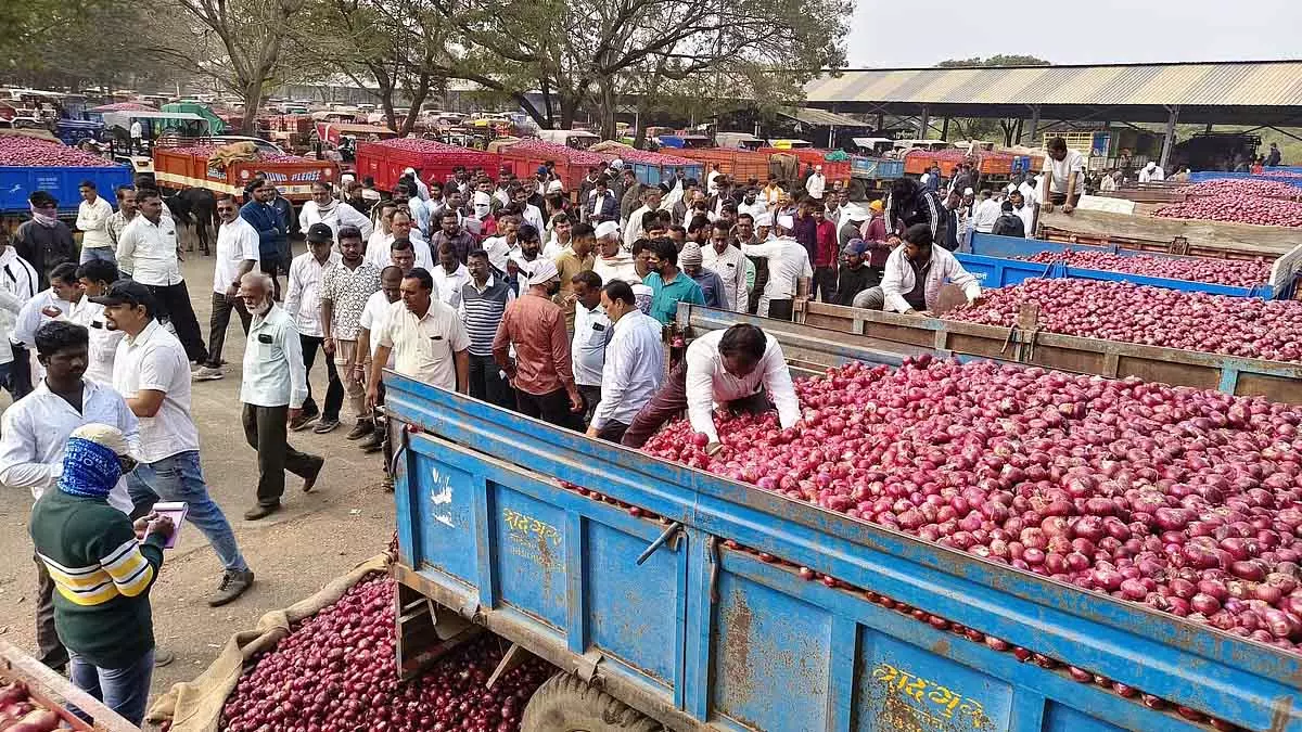 लासलगांव APMC में प्याज के दाम 15 दिनों में ₹1,000 प्रति क्विंटल तक गिरे लासलगांव APMC में प्याज के दाम 15 दिनों में ₹1,000 प्रति क्विंटल तक गिरे