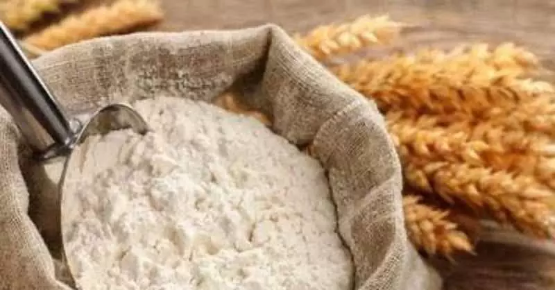 PAU की देसी जई की किस्म से मिलता है बढ़िया चारा, पौष्टिक अनाज PAU की देसी जई की किस्म से मिलता है बढ़िया चारा, पौष्टिक अनाज