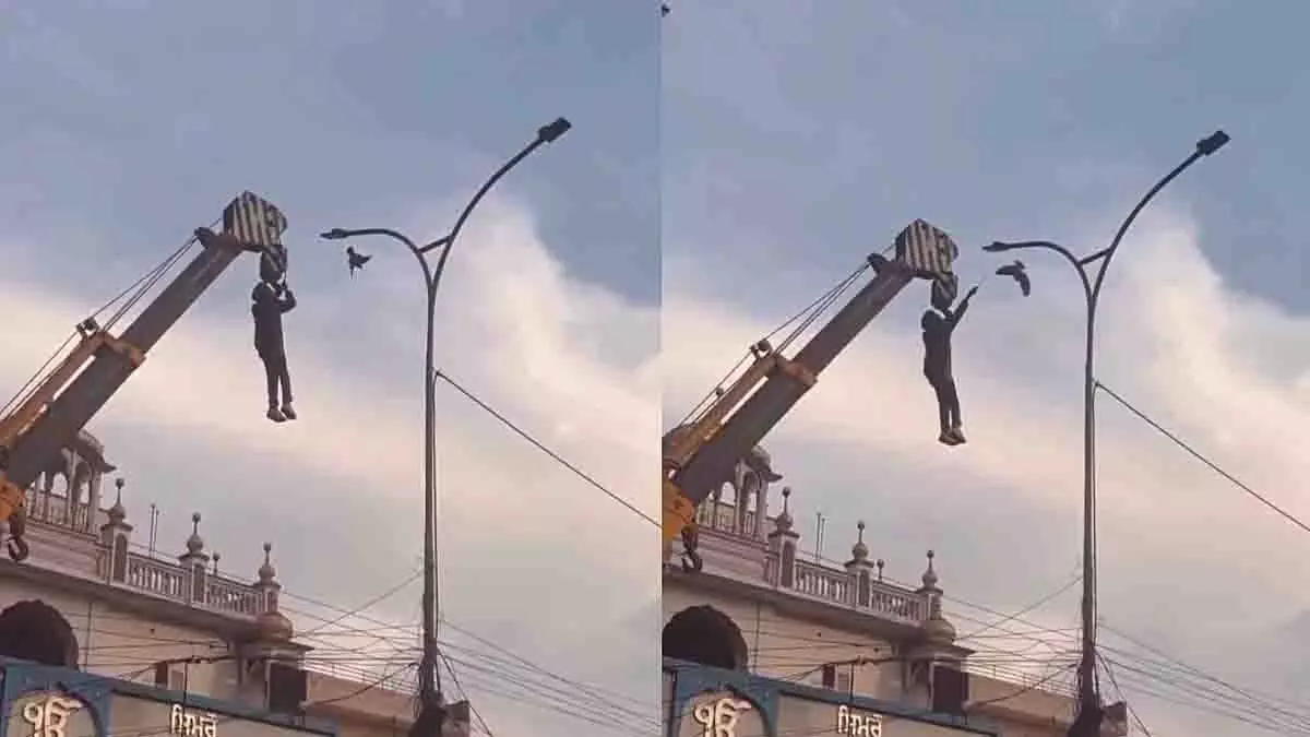 Punjab: पक्षी बचाने के लिए क्रेन पर लटका आदमी, जान जोखिम में डाली Punjab: पक्षी बचाने के लिए क्रेन पर लटका आदमी, जान जोखिम में डाली