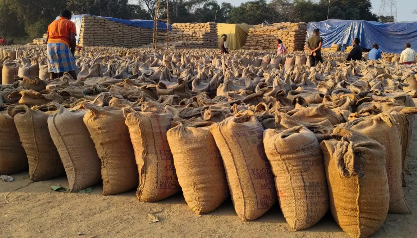 रायगढ़ जिले में अब तक 2.96 लाख मीट्रिक टन धान खरीदी रायगढ़ जिले में अब तक 2.96 लाख मीट्रिक टन धान खरीदी
