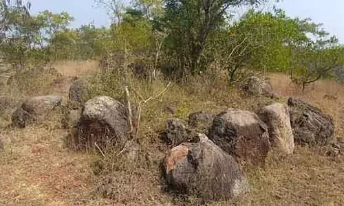 Pennagaram में 2,500 साल पुराने पत्थर के घेरे मिले Pennagaram में 2,500 साल पुराने पत्थर के घेरे मिले