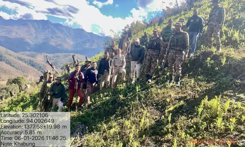 Senapati में 12.9 हेक्टेयर में लगी अवैध अफीम नष्ट की