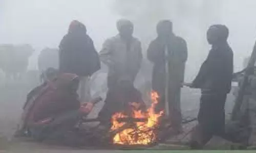 MP Weather: कड़कड़ाती ठंड और कोहरे ने बढ़ाई खतरनाक स्थिति