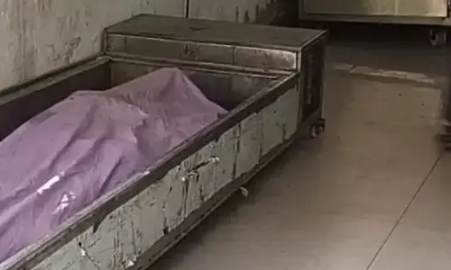 सुहागा खाकर मजदूर ने दे दी जान