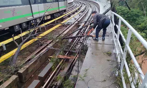 हमारा Metro फेज़ 3: 6,868 पेड़ काटे गए हमारा Metro फेज़ 3: 6,868 पेड़ काटे गए