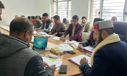 बल्ह में सीमांकन, बंटवारे के मामलों को 31 मार्च तक सुलझाएं: DC