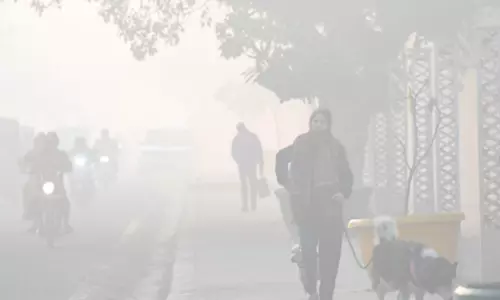 Delhi-NCR में शीतलहर और खराब हवा की गुणवत्ता से लोग परेशान