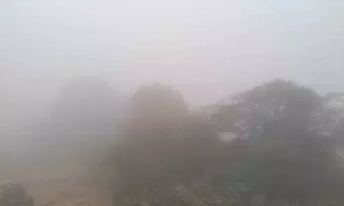 Odisha : फूलबानी 5°C के साथ सबसे ठंडा, राउरकेला 5.1°C पर ठिठुर रहा Odisha : फूलबानी 5°C के साथ सबसे ठंडा, राउरकेला 5.1°C पर ठिठुर रहा