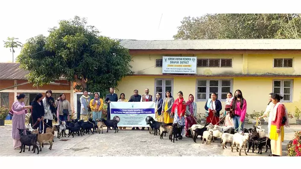 Nagaland : चुमौकेदिमा की महिला किसानों को बकरी बांटने से फ़ायदा हुआ