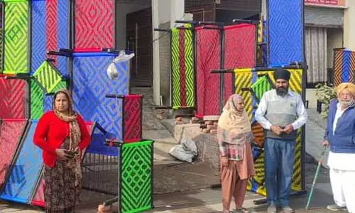 लोहे की खाट बनाने से लेकर सुअर पालन तक, Aladdinpur में कैसे होती है कमाई लोहे की खाट बनाने से लेकर सुअर पालन तक, Aladdinpur में कैसे होती है कमाई