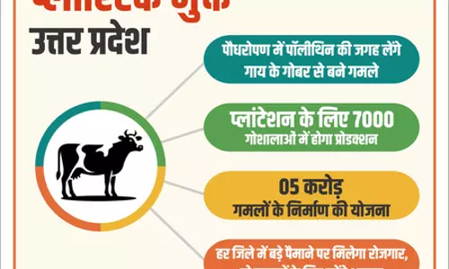 पॉलीथिन की जगह लेंगे गाय के गोबर से बने गमले, प्लांटेशन के लिए सात हजार गोशालाओं में होगा प्रोडक्शन