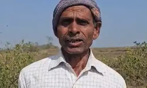 हजारीबाग के मजदूरों ने कहा, ‘जी राम जी’ से मिलेगी रोजगार की गारंटी हजारीबाग के मजदूरों ने कहा, ‘जी राम जी’ से मिलेगी रोजगार की गारंटी