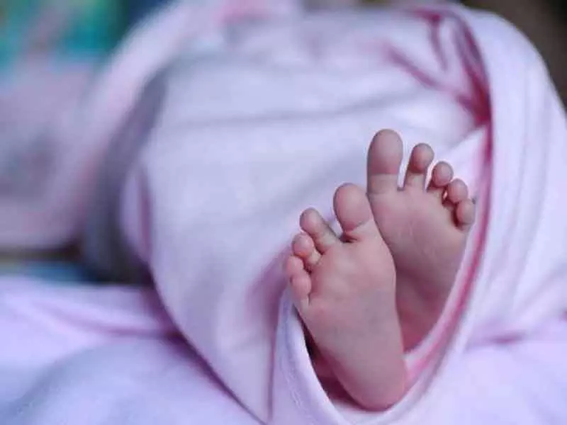 Fatehabad की महिला ने शादी के 19 साल बाद 11वें बच्चे को जन्म दिया Fatehabad की महिला ने शादी के 19 साल बाद 11वें बच्चे को जन्म दिया