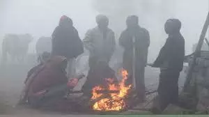MP Weather: कड़कड़ाती ठंड और कोहरे ने बढ़ाई खतरनाक स्थिति MP Weather: कड़कड़ाती ठंड और कोहरे ने बढ़ाई खतरनाक स्थिति