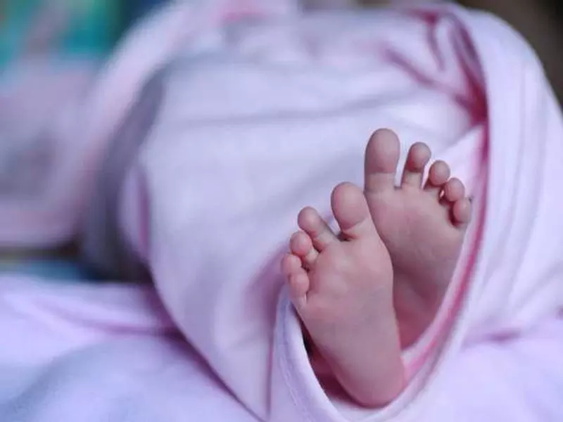 Fatehabad की महिला ने शादी के 19 साल बाद 11वें बच्चे को जन्म दिया Fatehabad की महिला ने शादी के 19 साल बाद 11वें बच्चे को जन्म दिया