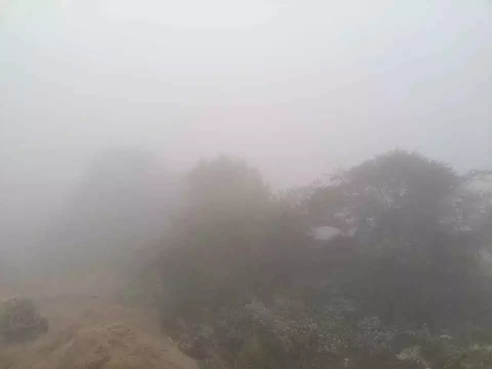 Odisha : फूलबानी 5°C के साथ सबसे ठंडा, राउरकेला 5.1°C पर ठिठुर रहा Odisha : फूलबानी 5°C के साथ सबसे ठंडा, राउरकेला 5.1°C पर ठिठुर रहा