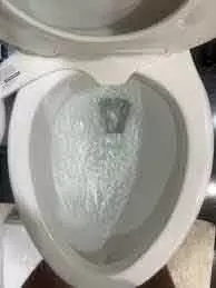 फ्लश के बाद Bathroom का राज़ फ्लश के बाद Bathroom का राज़