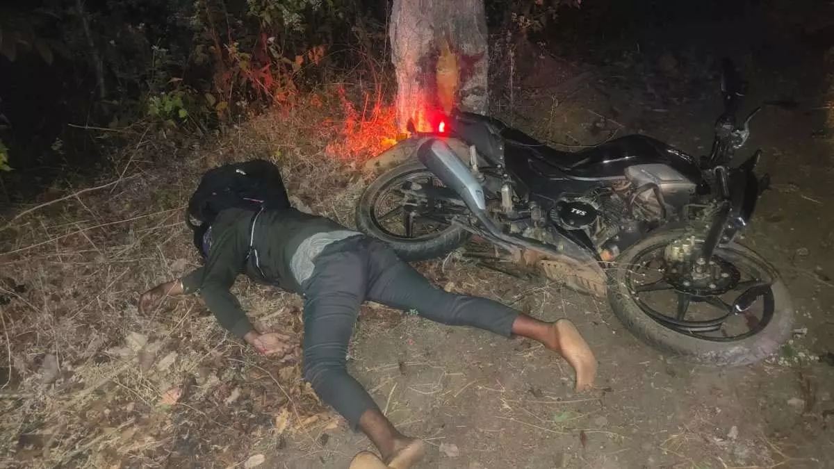 सड़क सुरक्षा सप्ताह के बीच फॉरेस्ट बीट गार्ड की हादसे में दर्दनाक मौत सड़क सुरक्षा सप्ताह के बीच फॉरेस्ट बीट गार्ड की हादसे में दर्दनाक मौत