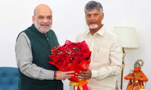 आंध्रप्रदेश के सीएम ने अमरावती के लिए वैधानिक दर्जे की मांग की आंध्रप्रदेश के सीएम ने अमरावती के लिए वैधानिक दर्जे की मांग की