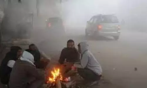 Haryana Weather:  ठंड का कहर, इन जिलों में कोल्ड डे की चेतावनी