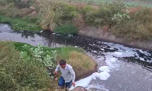 Yamuna में प्रदूषण रोकने के लिए Haryana सरकार क्या कदम उठा रही है? Yamuna में प्रदूषण रोकने के लिए Haryana सरकार क्या कदम उठा रही है?