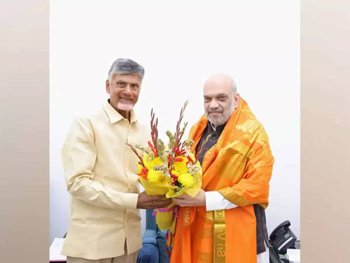 Amaravati: चंद्रबाबू नायडू की अमित शाह से मुलाकात, अमरावती को कानूनी दर्जा देने की मांग