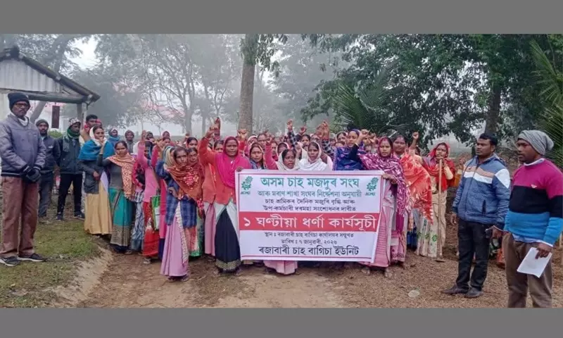 Assam: ब्रह्मपुत्र घाटी के चाय मज़दूरों ने वेतन बढ़ाने की मांग को लेकर हड़ताल की Assam: ब्रह्मपुत्र घाटी के चाय मज़दूरों ने वेतन बढ़ाने की मांग को लेकर हड़ताल की