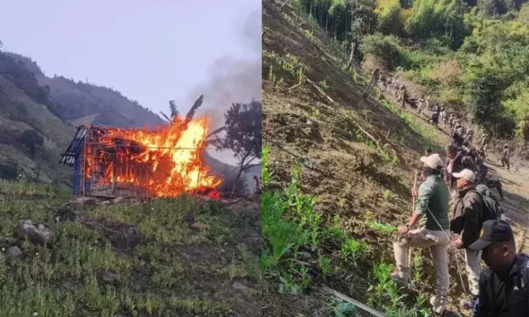 Manipur के कांगपोकपी में 53 एकड़ अवैध अफीम की खेती नष्ट