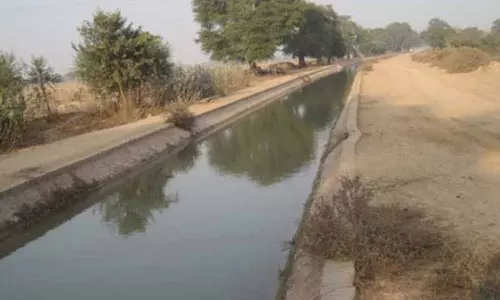 Punjab: कंडी इलाके में 40 साल बाद नहर से सिंचाई बहाल हुई