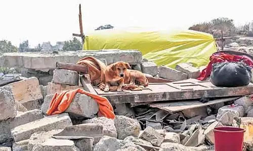 कोयल विवाद: अवैध घर बनाने के आरोप में चार लोगों के खिलाफ FIR दर्ज कोयल विवाद: अवैध घर बनाने के आरोप में चार लोगों के खिलाफ FIR दर्ज