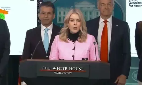 White House :आर्कटिक में रूस और चीन की गतिविधियों को रोकने के लिए ग्रीनलैंड महत्वपूर्ण White House :आर्कटिक में रूस और चीन की गतिविधियों को रोकने के लिए ग्रीनलैंड महत्वपूर्ण