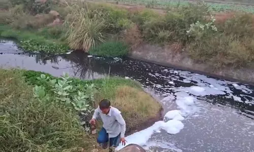 यमुना में प्रदूषण रोकने के लिए Haryana सरकार क्या कदम उठा रही यमुना में प्रदूषण रोकने के लिए Haryana सरकार क्या कदम उठा रही